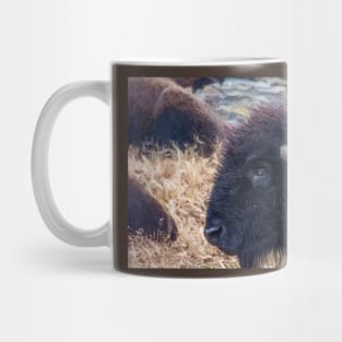 American Bison Woolaroc Oklahoma Mug